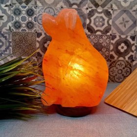 Dog shape Himalayan Salt Lamp
