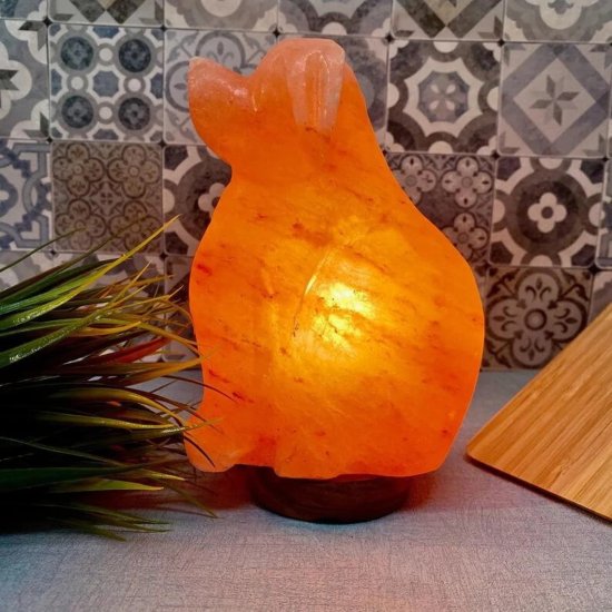 Dog shape Himalayan Salt Lamp