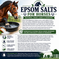 Equine Epsom Salts