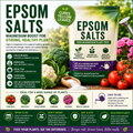 Epsom Salts for Gardening
